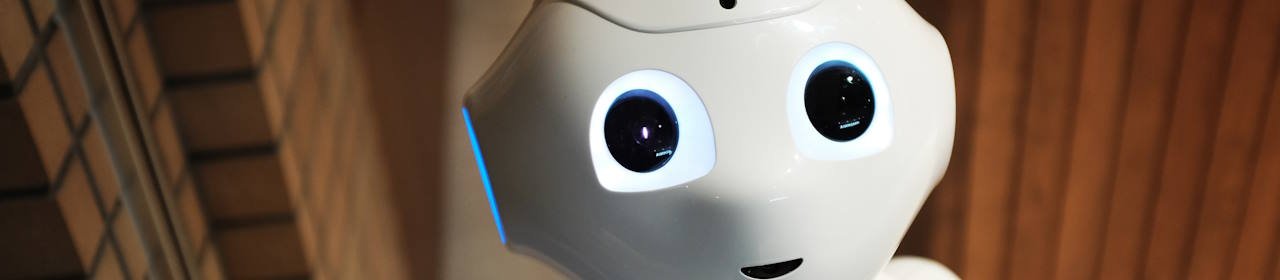 Kleiner Hilfroboter (Titelbild) Kleiner Hilfroboter (Titelbild)