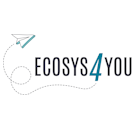 Teaser Logo ecosys4you