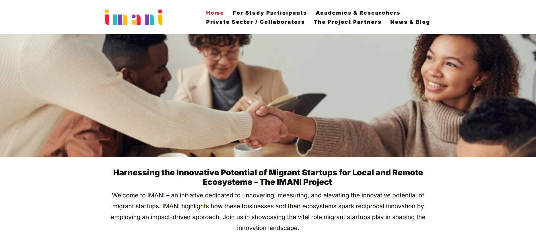 Imani Projects Webpage Screenshot von der Startseite der Imani Project Webpage