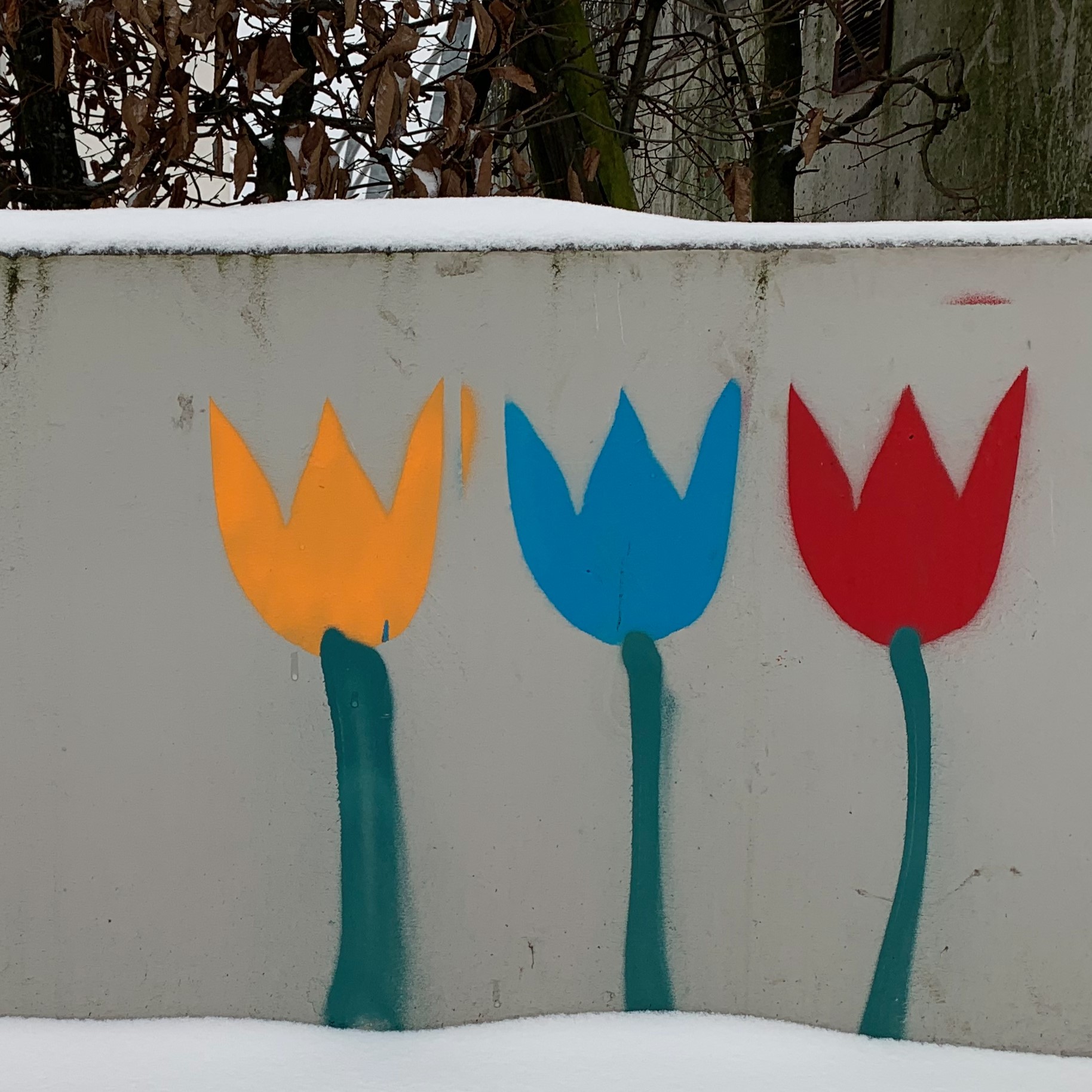 Tulpengraffiti