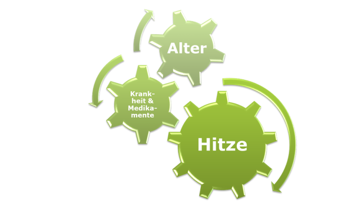 Grafik Hitze als Gesundheitsrisiko